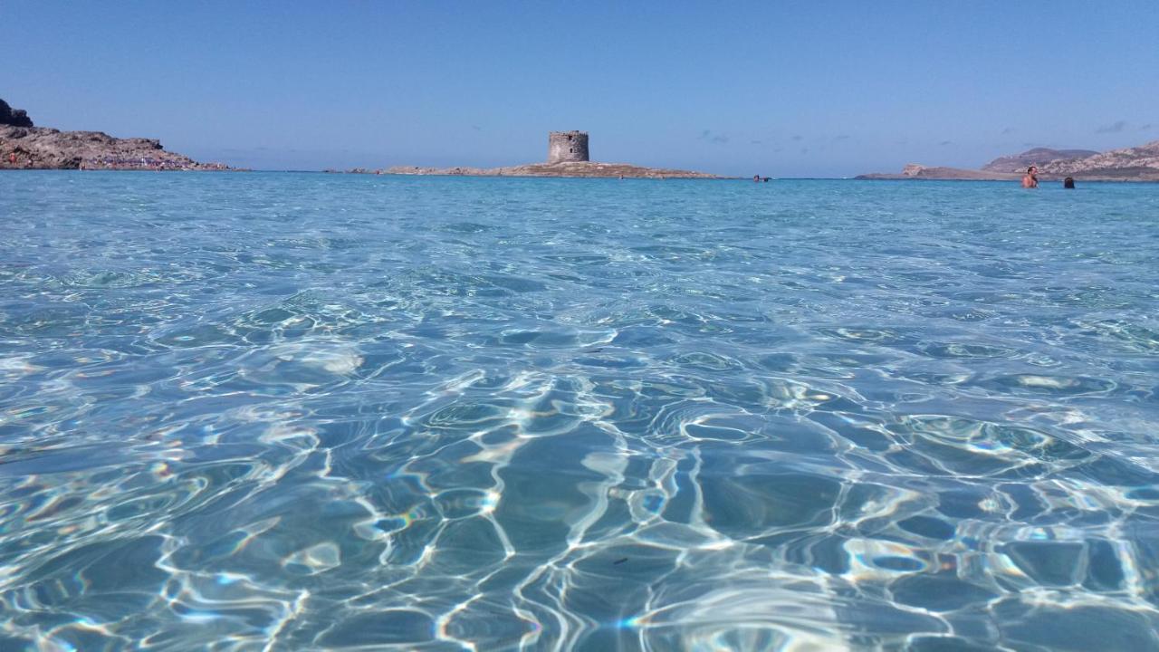 B&B Giomar Sardegna Nord Ovest Campanedda エクステリア 写真